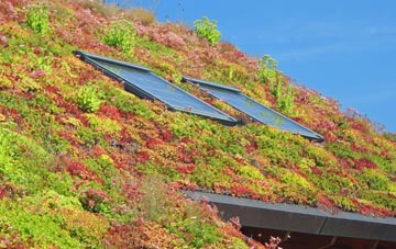 Gorstage living roof systems
